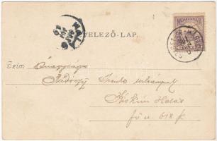 1901 Dunaharaszti, Haraszti; Nagy vasúti híd és dunai malmok, úszó hajómalom. Divald Károly kiadása ...