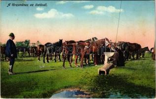 1913 Hortobágy, a törzsménes az itatónál, magyar folklór (EK)