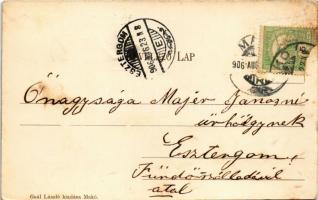 1906 Makó, Hagyma piac, üzletek. Gaál László kiadása (EK)