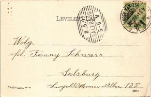 1903 Nagykanizsa, madártávlatból, Franz féle gőzmalom. Schless Antal kiadása. Art Nouveau, floral (E...