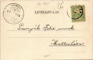 1903 Balatonboglár, Boglár; Balaton-part, villa. Kampmann H. kiadása (kis szakadás / small tear)