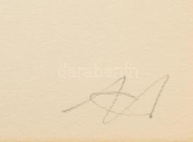 Hollán Sándor (Alexandre Hollan, 1933-): Tölgyfatánc mappa, Vasarely Múzeum, 1993. 3 db szitanyomat,...