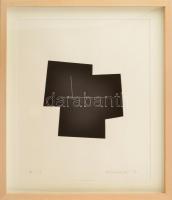 Haász István (1946): Geometrikus kompozíció, 2019. Akril, papír, jelzett, számozott (N 1/1). Üvegezett fakeretben. 49×39 cm. Egyedi, gyűjtői darab!/ acrylic on paper, signed, framed