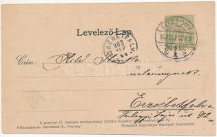 1902 Pozsony, Pressburg, Bratislava; II. Mezőgazdasági Országos Kiállítás Pozsonyban 1902. Izabella ...