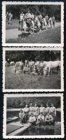1939 Katonai lovas egység a csepeli Háros-szigetnél, 3 db hátoldalon feliratozott fotó, szép állapotban, 6,5×9 cm