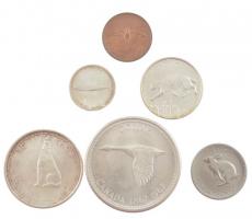 Kanada 1967. 1c - 1$ (6xklf) forgalmi sor T:1 kis patina Canada 1967. 1 Cent - 1 Dollar (6xdiff) coin set C:UNC small patina