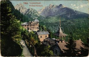 1908 Tátra, Magas-Tátra, Vysoké Tatry; Tarpatakfüred. Cattarino S. kiadása 163. sz. / Wildbad Kolbach / spa (b)