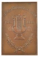 1938. Székesfővárosi Zenekar 1923-1938 egyoldalas bronz emlékplakett (80x55mm) T:2