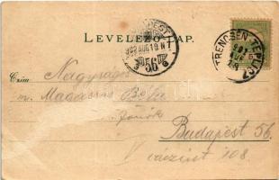 1902 Trencsénteplic, Trencianske Teplice; látkép / general view (EB)