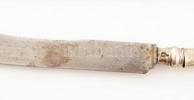 Ezüst (Ag) nyelű régi evőeszköz készlet, 6 db kés (LWN jelzésű pengével) + 6 db villa. Jelzettek, ki...