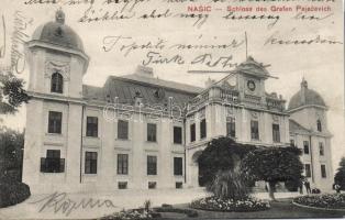 Nasice palace