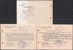 1948 Kalocsai érseki hivatal 5 db okmány József érsek aláírásaival