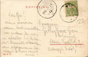 1906 Szalatnok, Szlatina, Slatine; látkép. W.L. 169. / general view (EK)