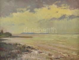 Mezey Artúr (1907-1987): Viharos Balaton. Olaj, vászon. Jelzett. Hátoldalán címkén feliratozott. Dek...