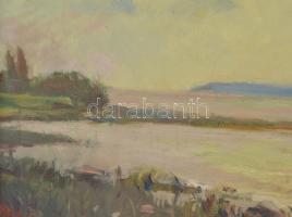 Mezey Artúr (1907-1987): Viharos Balaton. Olaj, vászon. Jelzett. Hátoldalán címkén feliratozott. Dek...