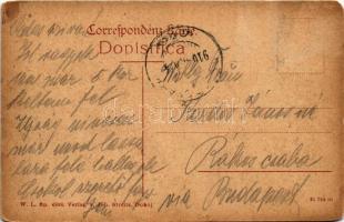 1910 Doboj, Bahnhofstrasse / street to the railway station. W.L. Bp. 4908. Verlag v. Joh. Streitz (E...