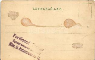 1901 Emlék a Dolnj-Miholjáci (Alsómiholjáci) cs. kir. hadgyakorlatokról. Ferenc József / In memory o...