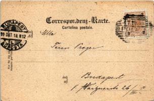 1899 (Vorläufer) Klarschiff zum Gefecht. K.u.K. Kriegsmarine / SMS Monarch osztrák-magyar Monarch-os...