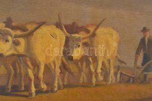 Korpács Lajos (19-20. század): Szántás szürke szarvasmarhákkal. Olaj, falemez. Jelezve balra lent: K...