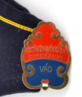 Sztáron Sándor gimnázium Vác, iskolajelvény sapkán