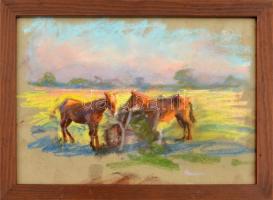 Bertalan Rózsa (1900-1987): Lovak a mezőn. Pasztell, papír, üvegezett keretben, 20×29 cm