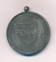 1940. "Erdélyi részek felszabadulásának emlékére" Zn emlékérem. Szign.:BERÁN L. T:2- oxidá...