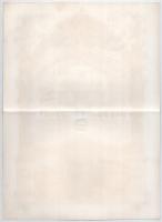 Német Birodalom / Magdeburg 1872. "Magdeburg-Neustadt-i Sörfőzde Részvénytársaság" részvén...