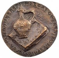 Szabó Iván (1913-1998) DN A honismereti mozgalomért - Hajdú-Bihar megye egyoldalas, öntött bronz plakett (~75-77mm) T:1-