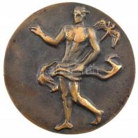 2008. XI. Nemzetközi Tudományos Napok Gyöngyös MMVIII. kétoldalas, öntött bronz emlékérem (77mm) T:2