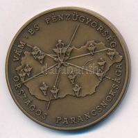 DN Vám- és Pénzügyőrség Országos Parancsnoksága - A testületért bronz emlékérem (42,5mm) T:1-