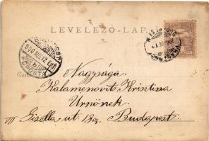 1900 Balatonszemes, Faluszemes; Kalamenovits villa. photo (r)