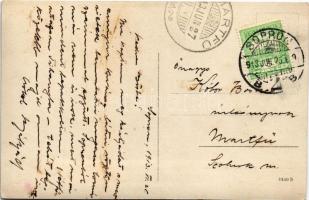 1913 Sopron, tornabemutató ünnepély, tornászok csoportja. photo