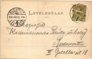 1903 Temesvár, Timisoara; Ferenc József színház, piac / theatre, market