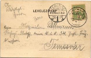 1902 Budapest I. Kilátás a Krisztinaváros felől, Királyi vár, Lánchíd, Tabán. Divald Károly 28. sz