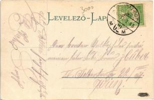 1903 Budapest I. Kilátás a Krisztinaváros felől, Királyi vár, Lánchíd, Tabán. Stengel & Co. (EK)