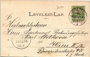 1900 Budapest XI. Gellérthegy, Ferenc József híd. Fénynyomat Divald műintézetéből 126. (fl)