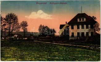1917 Pragersko, Pragerhof; Rosegger-Schule / school. Verlag Amalie Churfürst (EK)