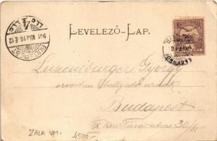 1901 Nagykanizsa, Városháza, Csengeri utca, Deák tér, Fő tér, üzletek. Alt és Böhm kiadása. Art Nouv...