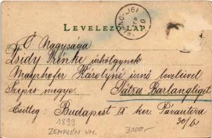 1899 (Vorläufer) Sárospatak, látkép, vár (Rb)