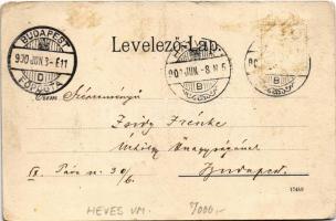 1900 Hatvan, Pályaudvar, vasútállomás, vonat, gőzmozdony. Hoffmann M. L. kiadása (fa)