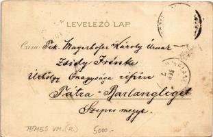 Temesvár, Timisoara; Jenő herceg tér / Prinz Eugen Platz / street view, square. Corvina litho (fa)