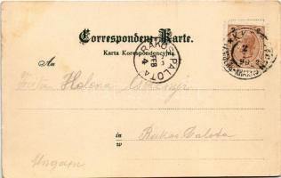 1899 (Vorläufer) Przemysl, Franz Josefs Quai / Wybrzcze Franciszka Józefa / riverside, bridge. D. Ka...