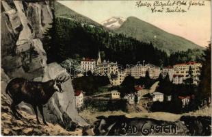 1917 Bad Gastein, general view (EK)