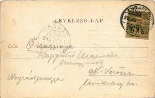 1905 Budapest XIII. Lipót körút, Café Vígszínház kávéház, Sturm József pilseni sörcsarnok és étterme...