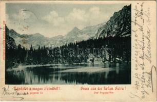 1901 Tátra, Magas-Tátra, Vysoké Tatry; Poprádi tó. Divald Károly 312. sz. / Der Popper-See / Popradské pleso / lake (fl)