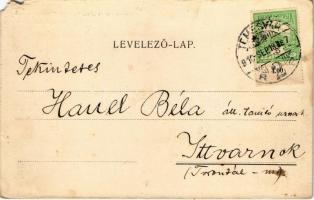 1910 Temesvár, Timisoara; Grand Hotel Hungária szálloda / hotel (b)