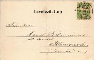 1904 Kiskunfélegyháza, M. kir. állami tanítóképző intézet. Vesszősi József kiadása (fa)