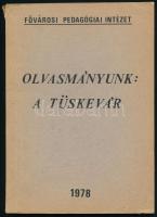 Balkovitzné Cynotler Magda: Olvasmányunk: A Tüskevár. 1978, Fővárosi Pedagógiai Intézet. Kiadói papírkötés, gerinc sérült, kopottas állapotban.