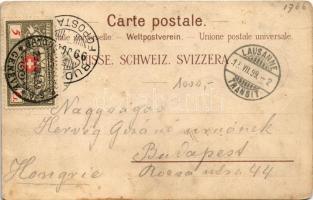 1899 (Vorläufer) Lausanne. Künzli freres Nr. 817. Art Nouveau, floral, litho (EK)