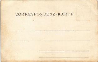 1903 Sollenau, wedding. photo (EK)